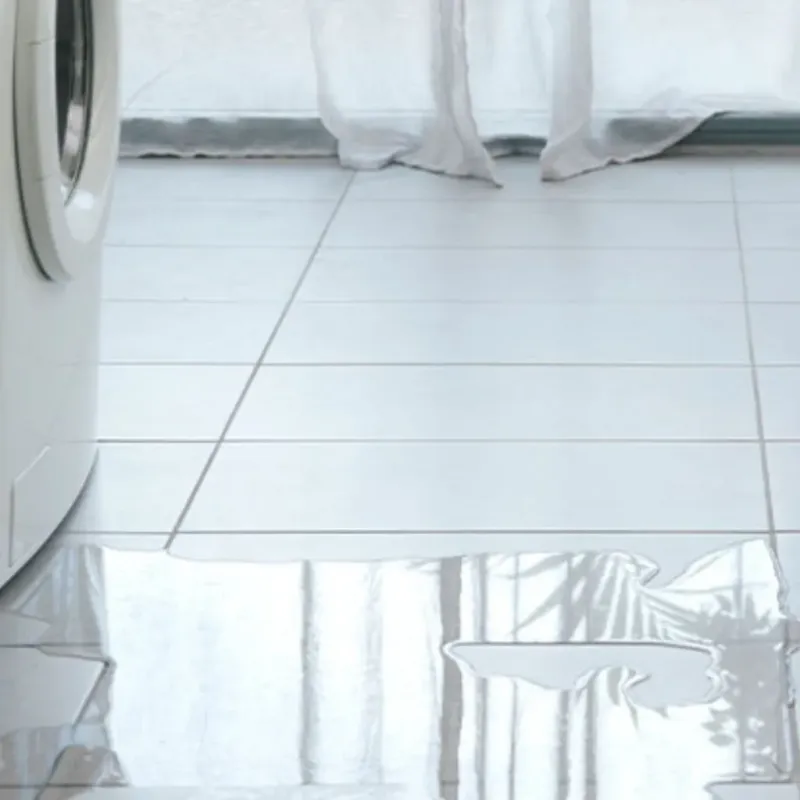 Appliance Leak Cleanup in Rancho San Diego, CA